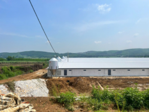 Lắp đặt TBCN cho 20 nhà gà thịt cho Công ty TNHH trang trại ECO