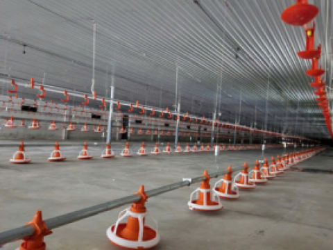 Lắp đặt TBCN 8 chuồng nuôi gà cho chủ đầu tư ông Hồ Minh Đức - Hà Tĩnh