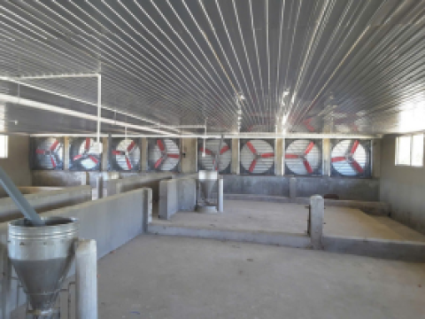 Công ty CP Đầu Tư Thuận Thành Phát - Thanh Hóa