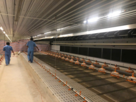 Dự án 12 chuồng gà bố mẹ của công ty 3F Việt