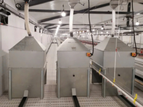 Lắp đặt thiết bị chăn nuôi cho 12 nhà nuôi gà tỉnh Bình Phước