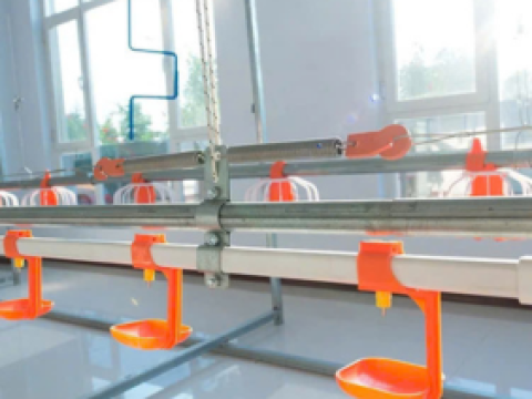 Cung cấp thiết bị gà thịt cho Công ty TNHH CJ VINA AGRI- CN Bình Dương