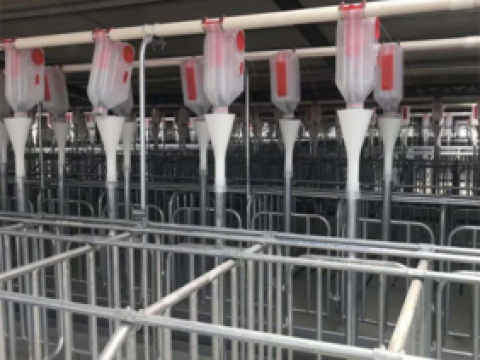 Công ty TNHH Đầu Tư trang trại Ao Trời - Thanh Hóa