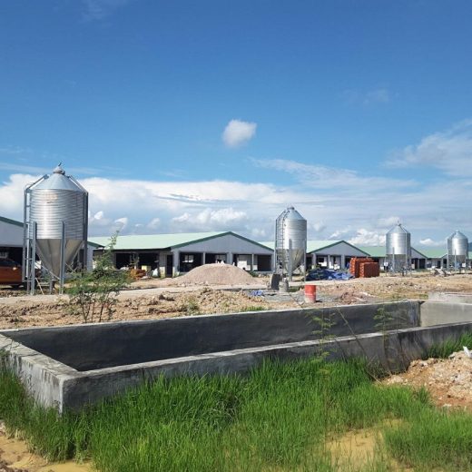 Công ty TNHH SX XNK Thiết Bị Chăn Nuôi Bình An