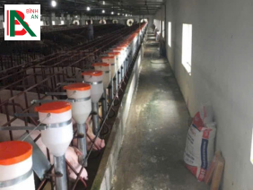 Công ty TNHH Đầu Tư trang trại Ao Trời - Thanh Hóa