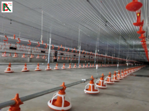 Lắp đặt TBCN 8 chuồng nuôi gà cho chủ đầu tư ông Hồ Minh Đức - Hà Tĩnh