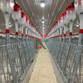 Thiết bị cho chuồng heo nái đẻ