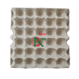 Vĩ trứng giấy ( 30 trứng)