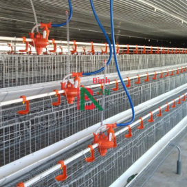 Hệ thống gà đẻ siêu trứng - lồng gà chữ A
