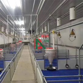 Thiết bị cho chuồng heo thịt