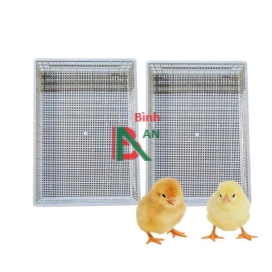 Sọt vận chuyển gà